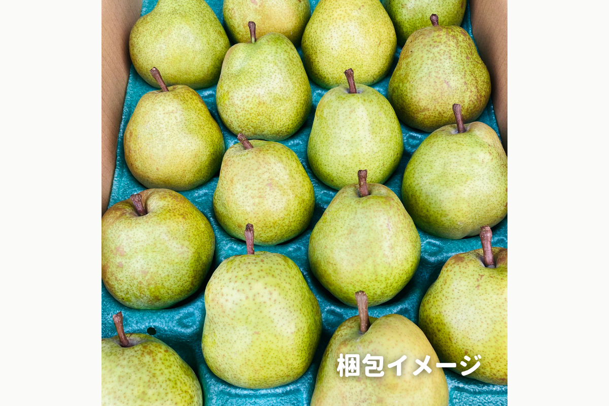 ⭐︎予約・11月〜12月発送予定⭐︎ ラ・フランス 秀品 5kg
