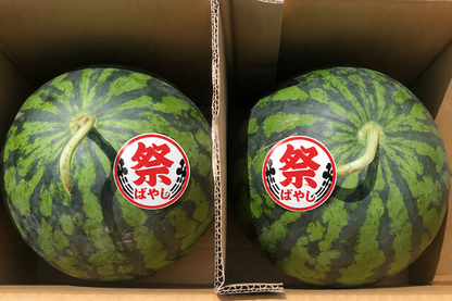 【訳あり】尾花沢すいか 中玉・2玉