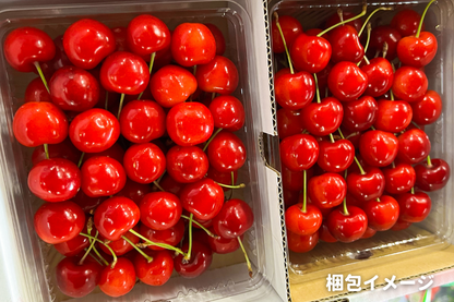 ⭐︎予約・2027年6月〜7月発送予定⭐︎ 紅秀峰 秀品 2L 約1kg バラ詰め