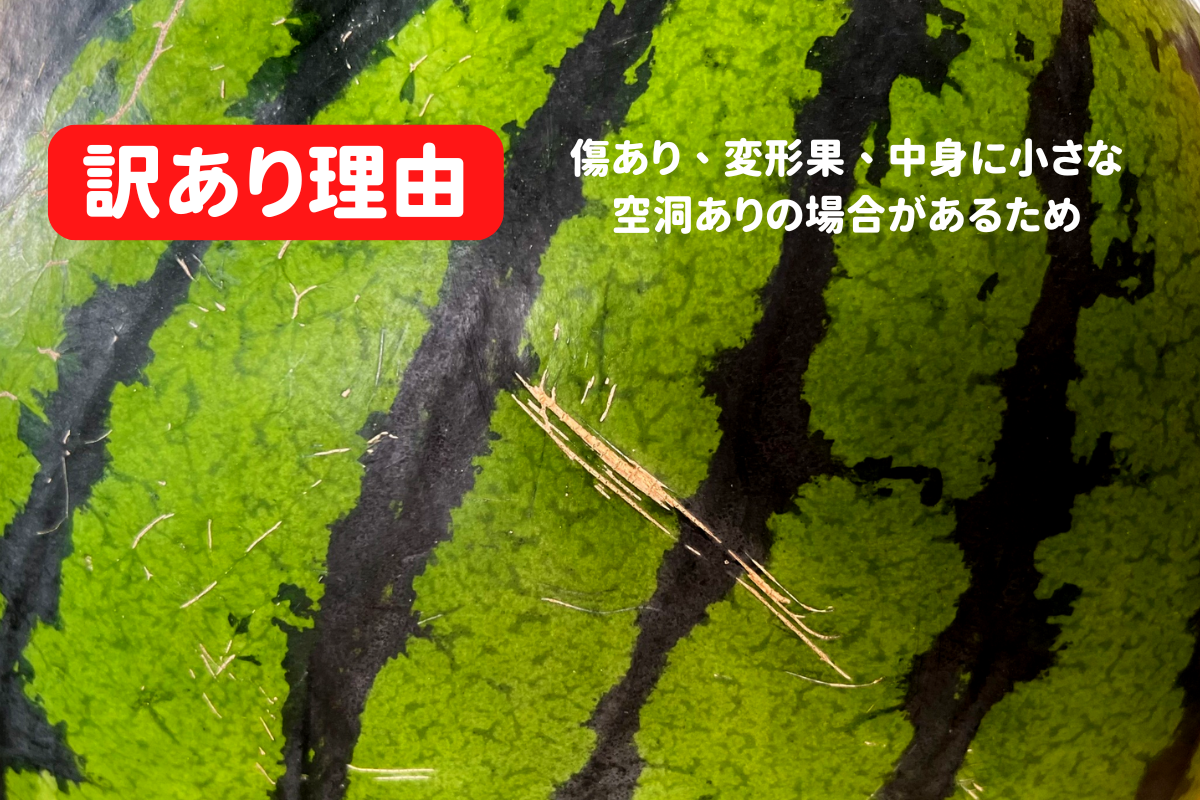 【訳あり】尾花沢すいか 中玉・2玉