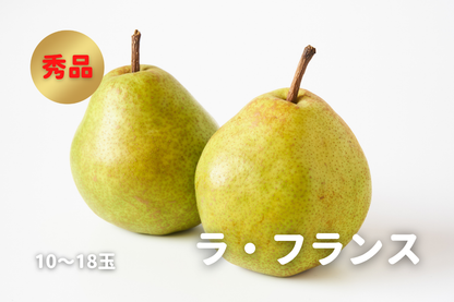 ⭐︎予約・11月〜12月発送予定⭐︎ ラ・フランス 秀品 5kg