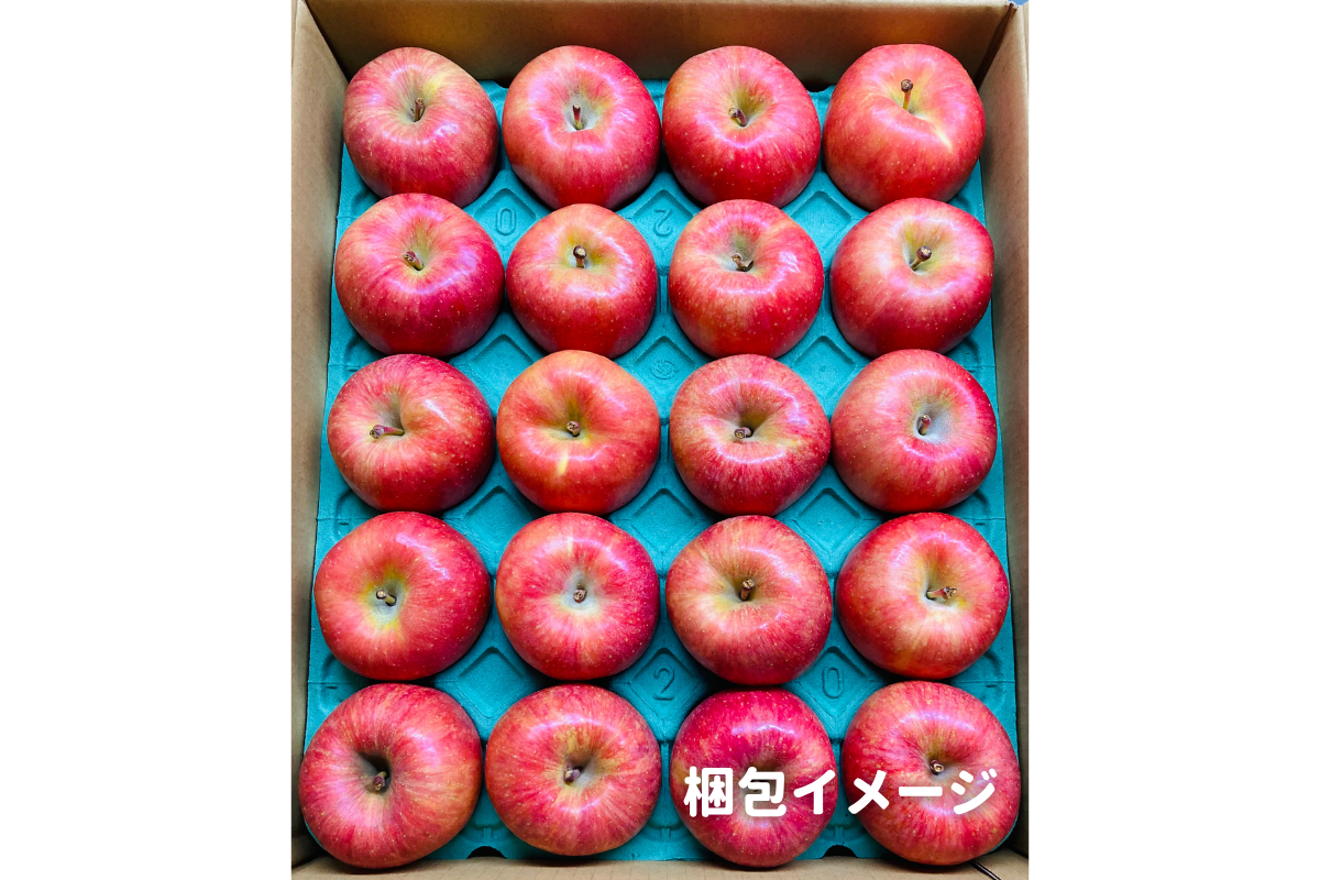⭐︎予約・11月〜12月発送予定⭐︎ ふじりんご 秀品 10〜18玉