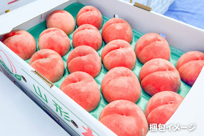 白桃 秀品 5kg