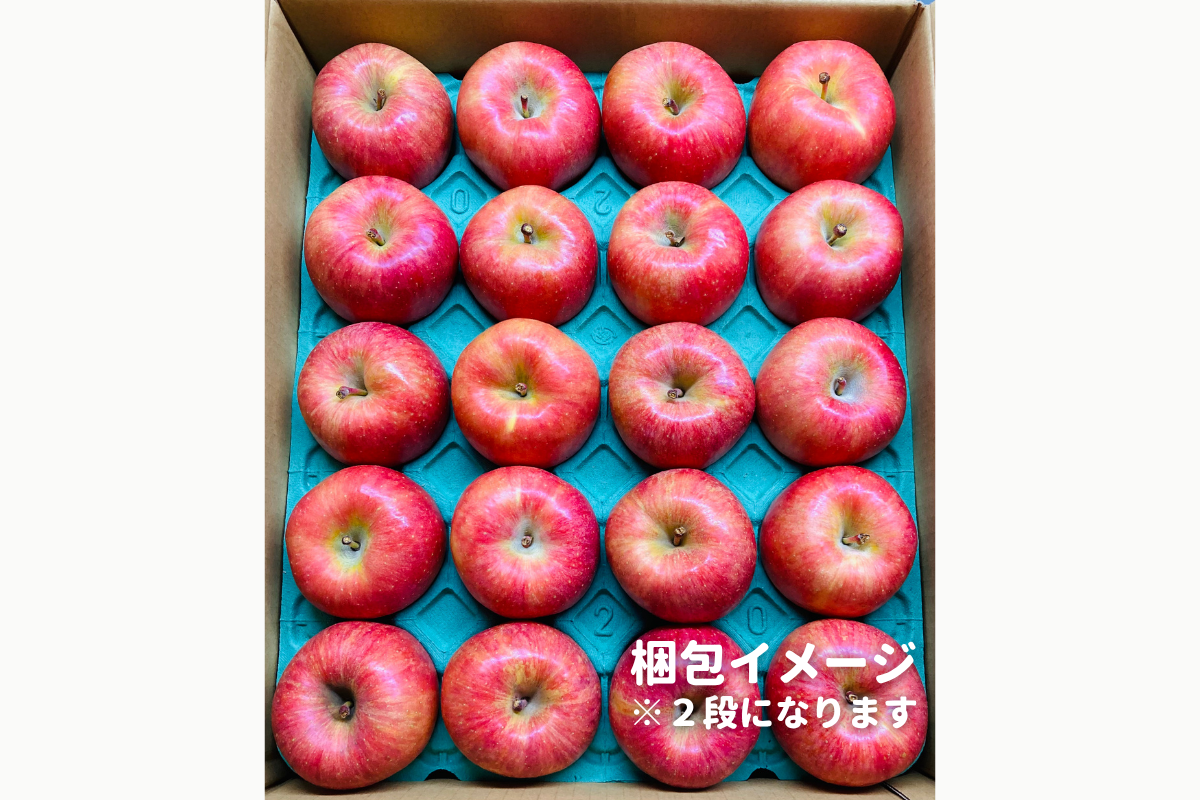 ⭐︎予約・11月〜12月発送予定⭐︎ ふじりんご 秀品 20〜36玉