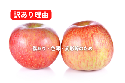 ⭐︎予約・11月〜12月発送予定⭐︎ ふじりんご 訳あり 10kg