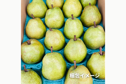 ⭐︎予約・11月〜12月発送予定⭐︎ ラ・フランス 秀品 5kg