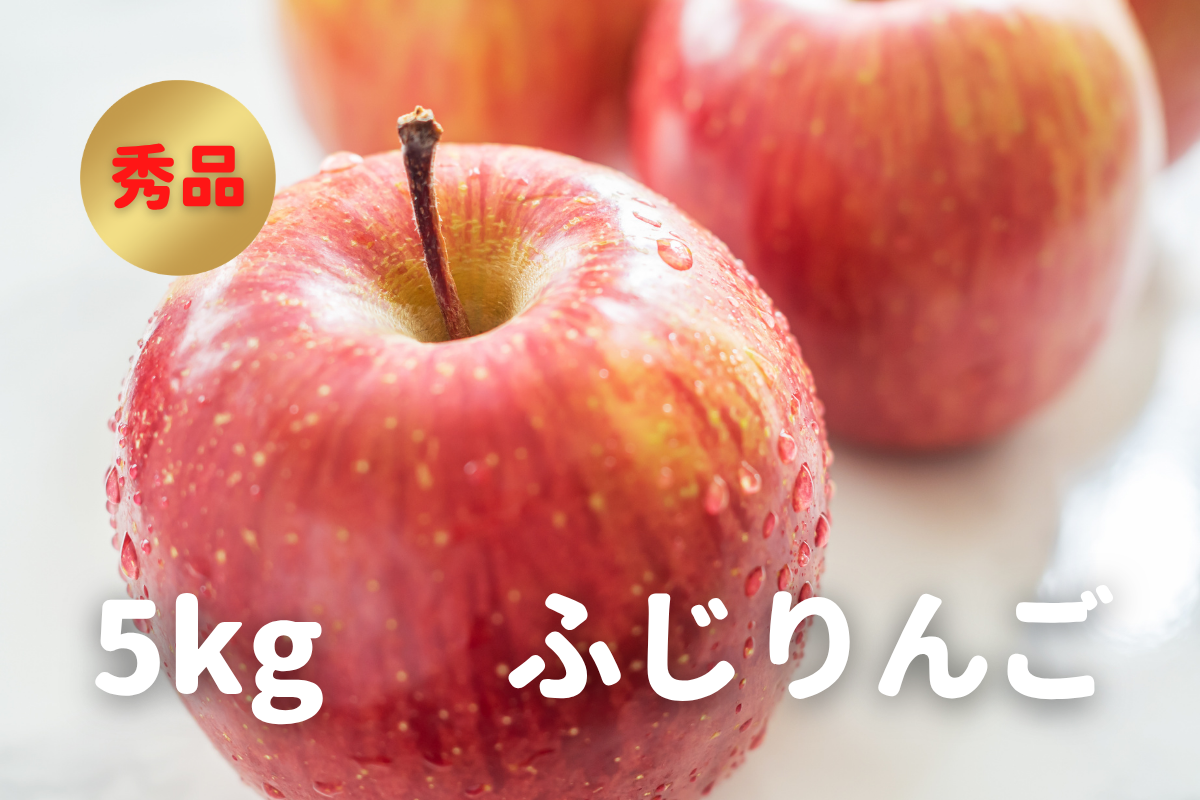 ⭐︎予約・11月〜12月発送予定⭐︎ ふじりんご 秀品 10〜18玉