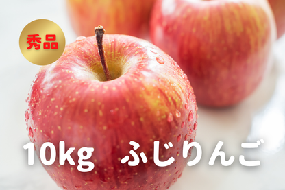 ⭐︎予約・11月〜12月発送予定⭐︎ ふじりんご 秀品 20〜36玉