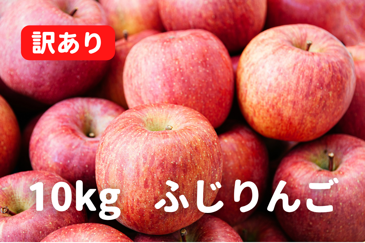 ⭐︎予約・11月〜12月発送予定⭐︎ ふじりんご 訳あり 10kg
