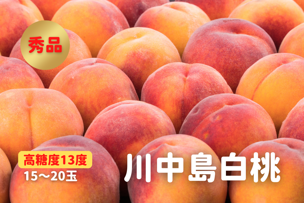 川中島白桃 秀品 5kg
