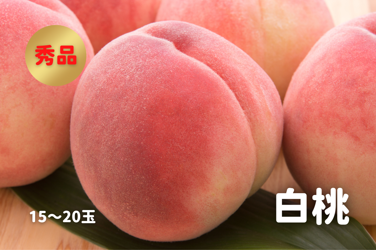 白桃 秀品 5kg