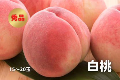 白桃 秀品 5kg