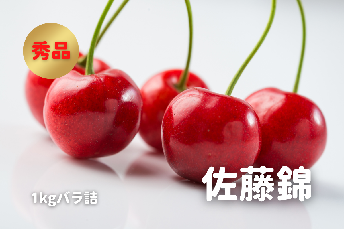 ⭐︎予約・2027年6月〜7月発送予定⭐︎ 佐藤錦 秀品 L 約1kg バラ詰め