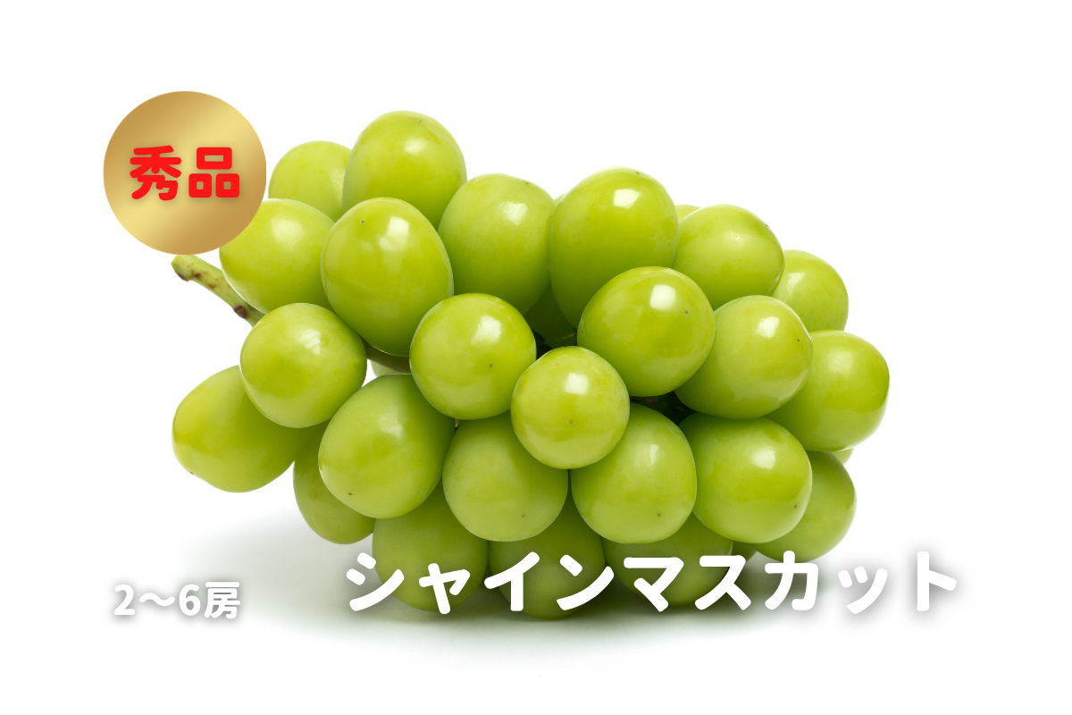 ⭐︎予約・9月〜10月発送予定⭐︎ シャインマスカット 秀品 2〜6房 約2kg