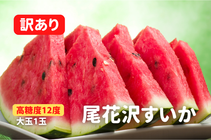 【訳あり】尾花沢すいか 大玉・1玉
